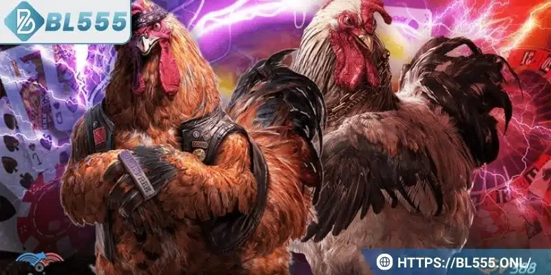 Đá gà cựa sắt - Cách chơi hay và các kỹ thuật hiệu quả