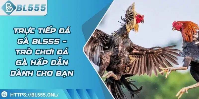 Hướng Dẫn BL555 - bl555onl Hướng Dẫn BL555 - bl555onl